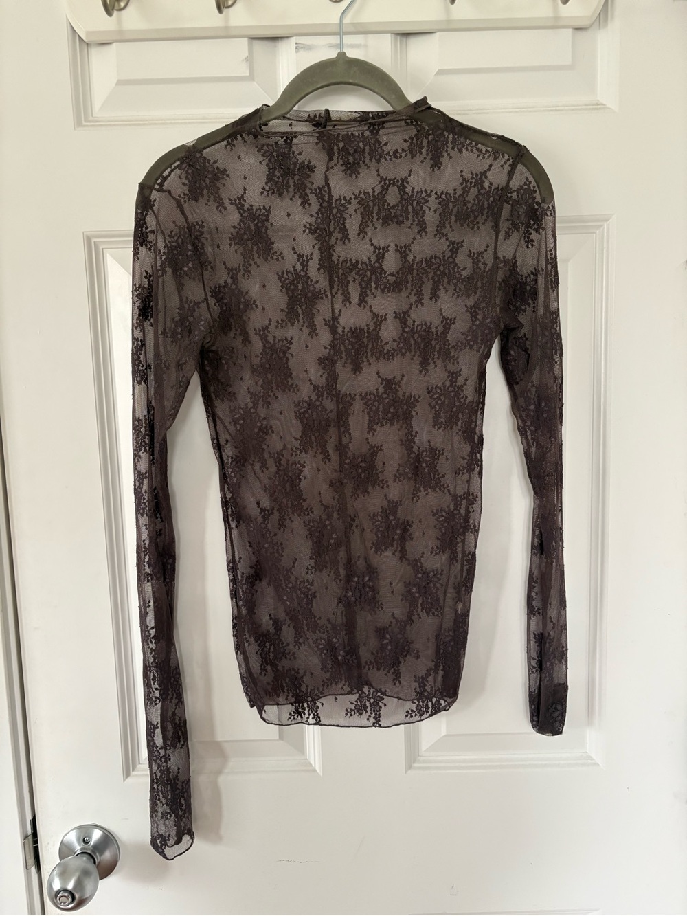 Free People Sheer Lace Long-Sleeve Top in Brown